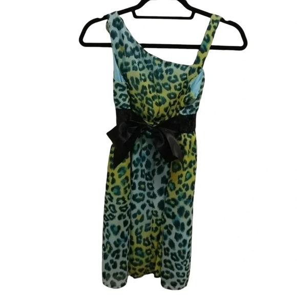 ๐HP๐ Holiday Editions Girls Leopard / Cheetah Dress - Picture 4 of 8
